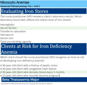 NR507 Week 2: Hematological Disorders