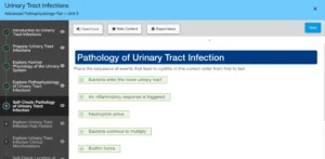 NR507 Week 4: Urinary System Pathologies Common Diseases and Disorders