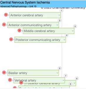 NR507 Week 8: CNS Brain Disorders
