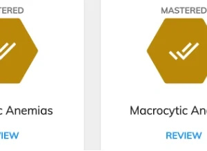 NR507 Week 2: Hematological Disorders