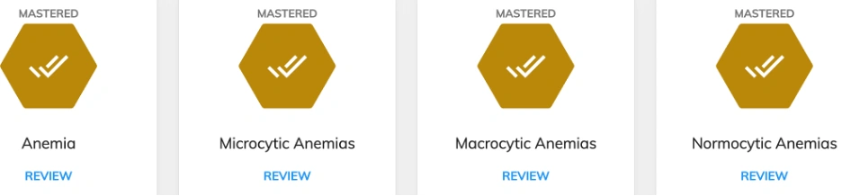 NR507 Week 2: Hematological Disorders