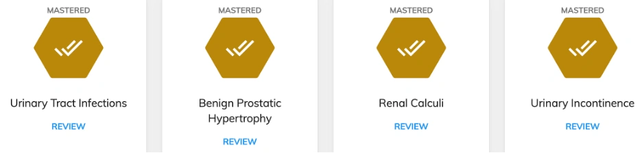NR507 Week 4: Urinary System Pathologies Common Diseases and Disorders
