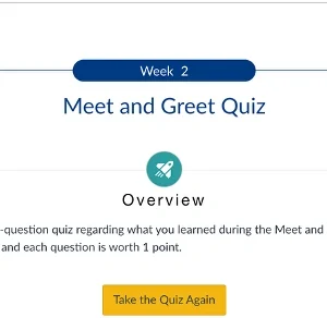 NR581 Week 2: Meet and Greet Quiz